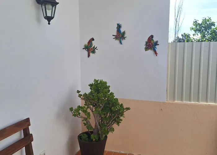 Quarto Salvador * Laranjeira